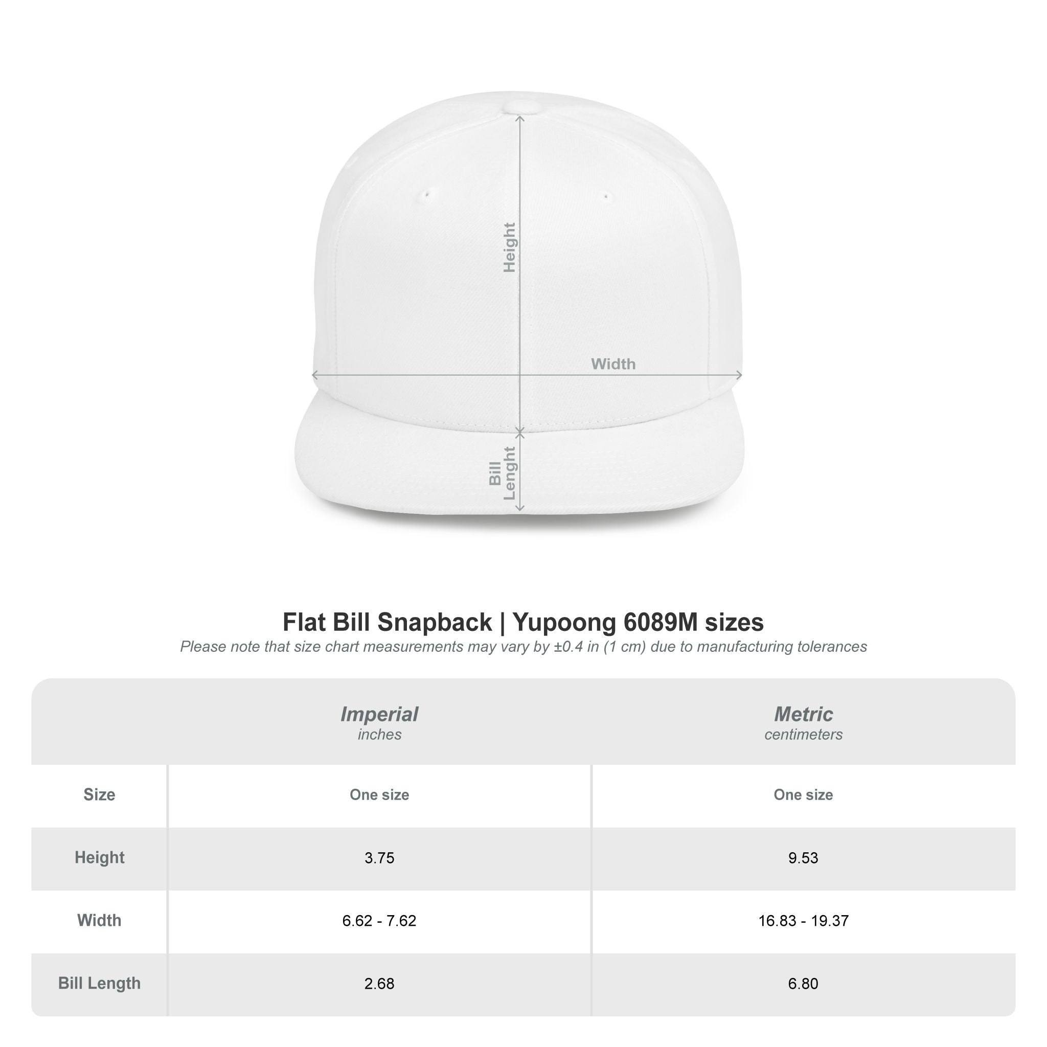 Flat Bill Snapback — 'Nobody Gives AF' Embroidered Statement Hat